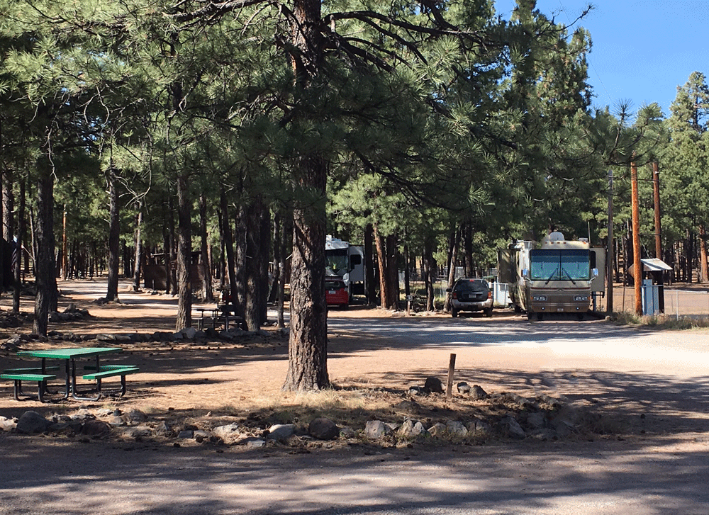 Dry and tent camping at Fort Tuthill