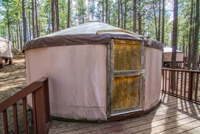 Fort Tuthill yurt among pine trees
